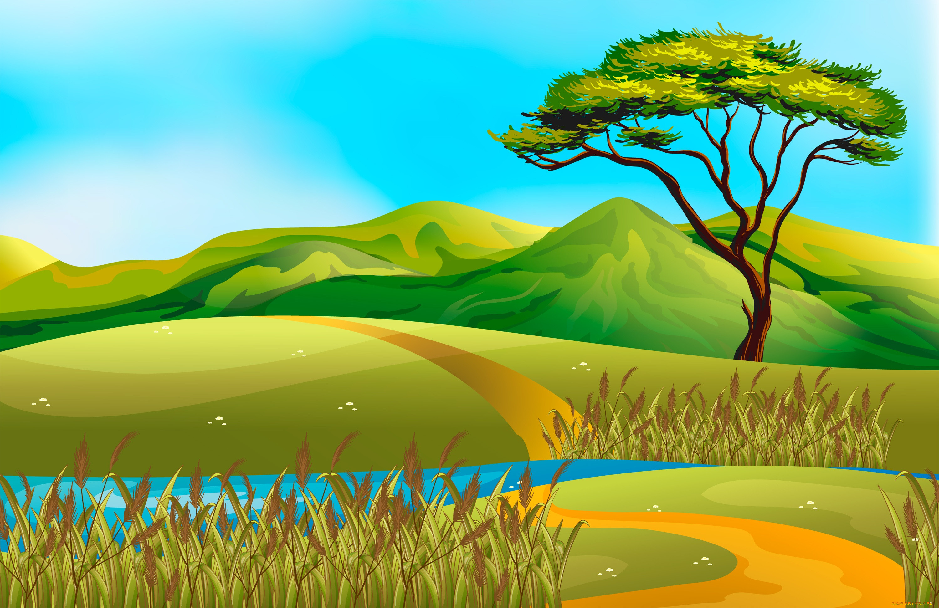  ,  , nature, , , , 